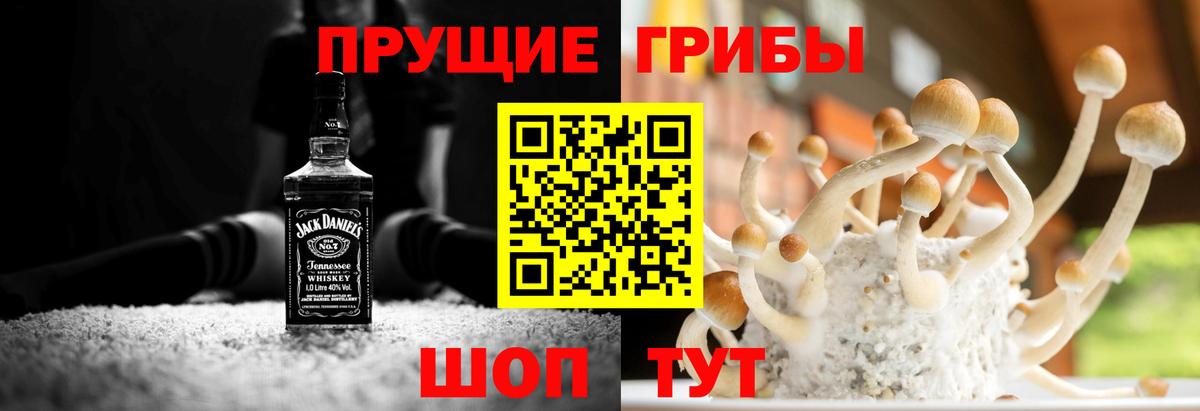 Галлюциногенные грибы мицелий  Вход с VPN  Волгоград  Псилоцибиновые грибы Psilocybe 